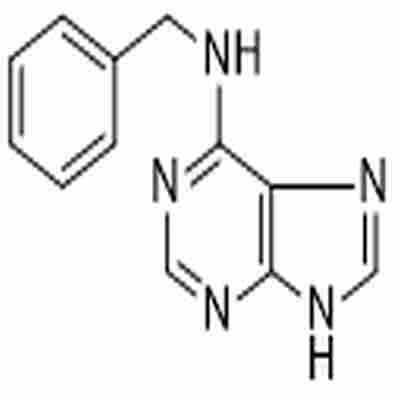 N6-Benzyladenine标准品