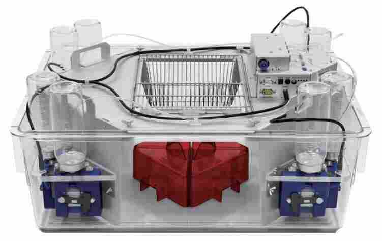 1635921904225700.jpg 1635921904225700.jpg