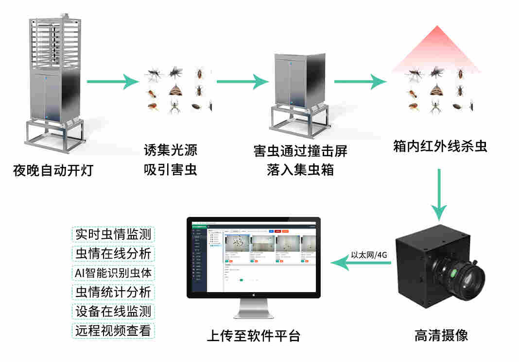 在智能农业中 虫情监测系统起到什么作用 