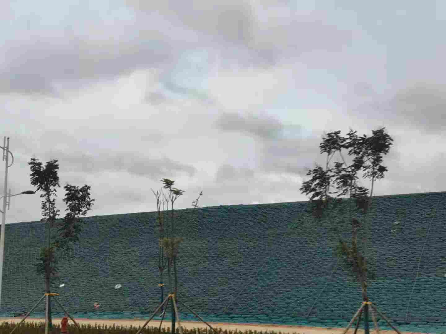 云南普洱植生袋