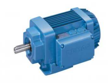 诚信销售德国DEMAG德马格电机71657133