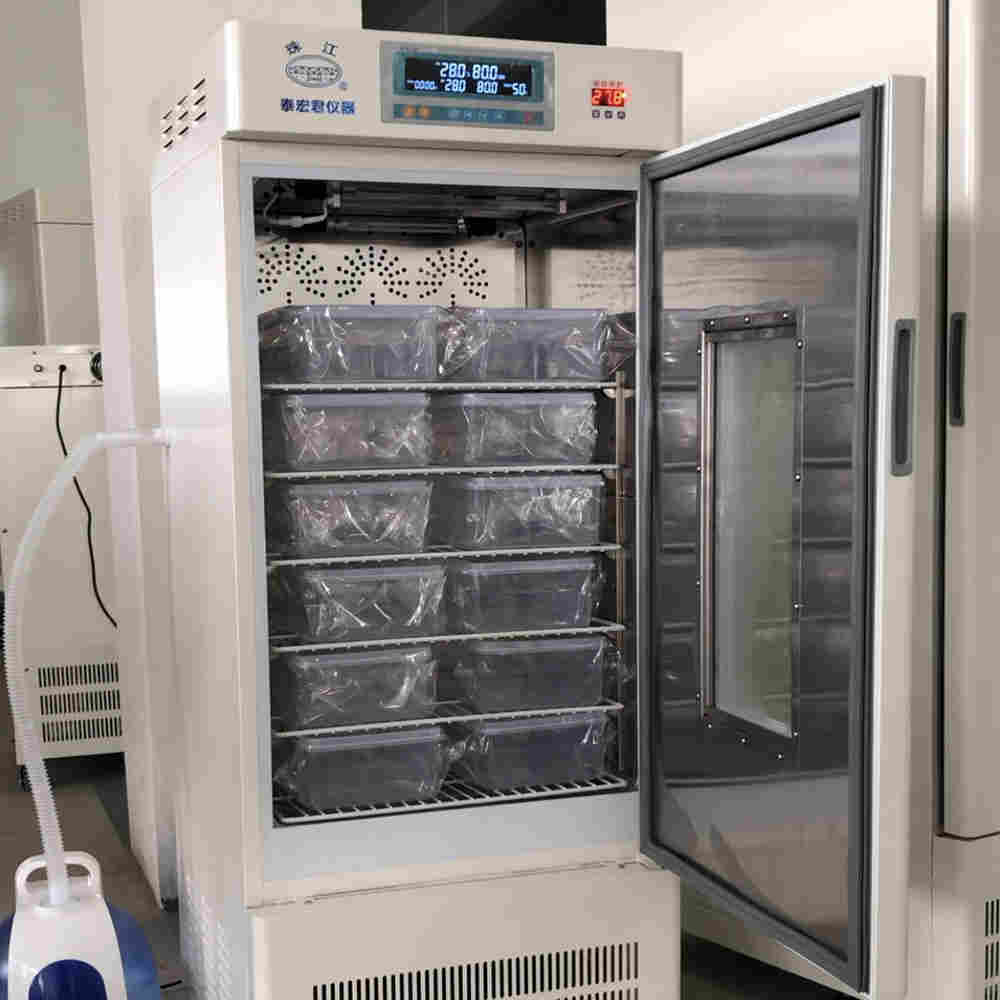 珠江牌FHX-150乌龟孵化箱使用心得分享