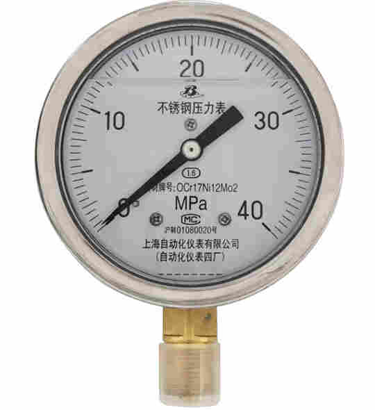 Y-100AZ抗振压力表