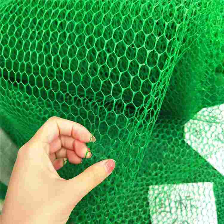 香港朝阳NSS5三维植被网-全境派送直达2022价格已更新