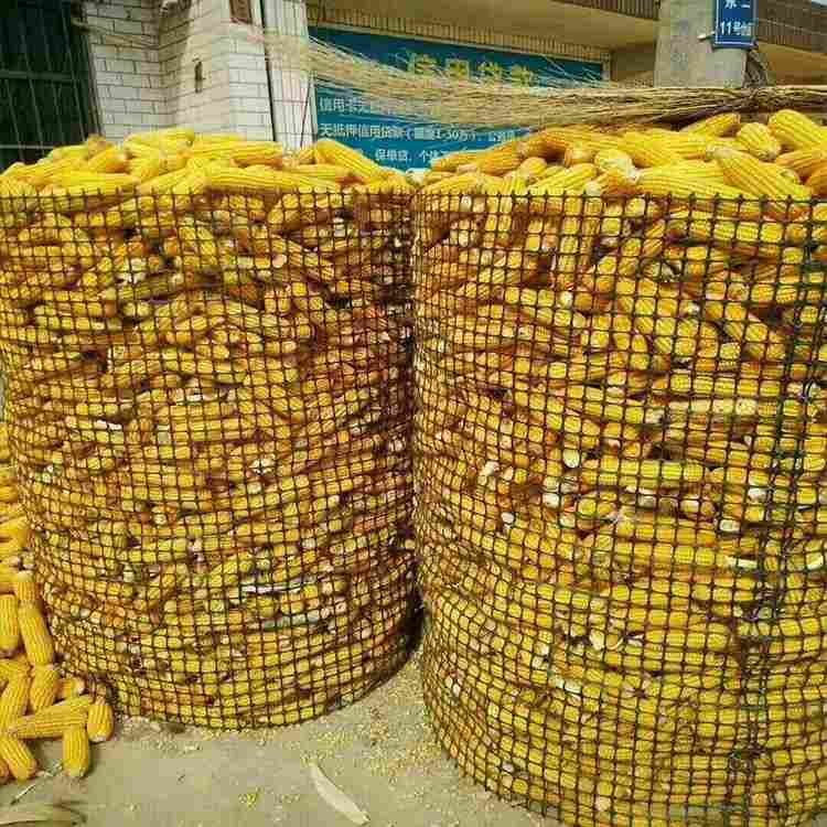 江苏淮安养殖网-全境派送直达2022价格已更新