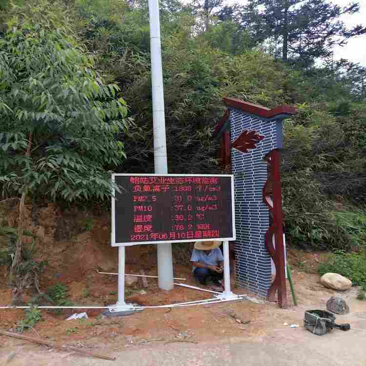 楼盘绿化负氧离子在线监测设备性能