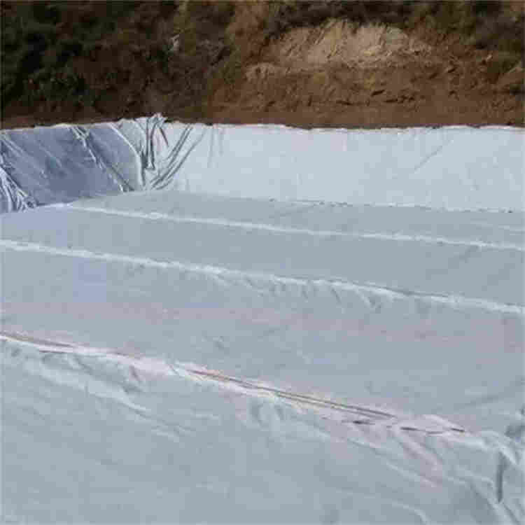 淄博复合土工膜-全境派送直达2022价格已更新
