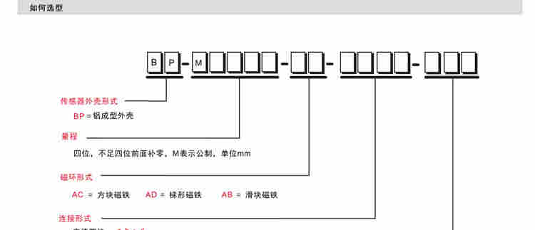 BP外置常規(guī)型傳感器