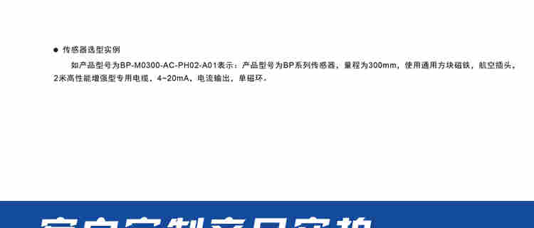 BP外置常規(guī)型傳感器