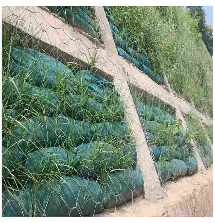 绿色生态袋河南鹤壁-全境派送直达2022价格已更新