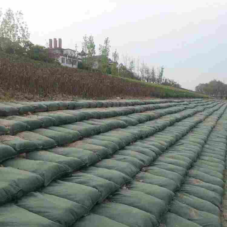 生态棒辽宁辽阳-全境派送直达2022价格已更新