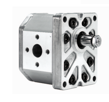 马祖奇MARZOCCHI齿轮泵ALP2系列清洁维护