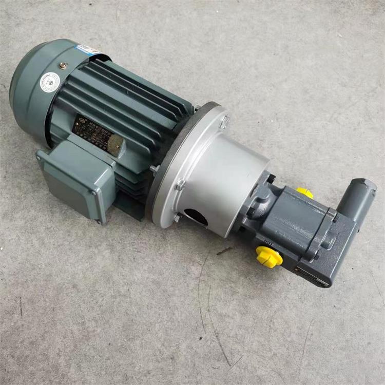 黔江区齿轮泵DK12RF减速机油泵