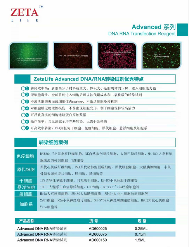 Advanced系列转染试剂