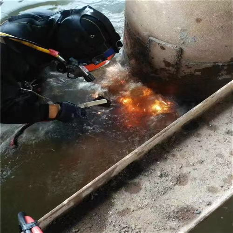 丹阳市打捞队-2022水下救援队伍