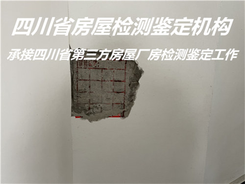 遂宁市托管房屋安全鉴定机构提供全面检测