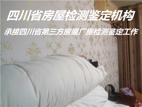 广元市酒店房屋安全质量检测服务公司