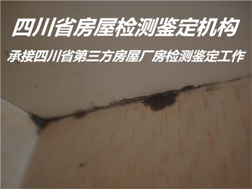 遂宁市钢结构安全质量检测鉴定评估机构