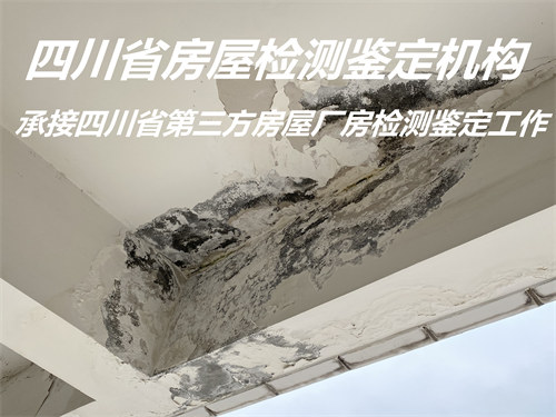 广安市学校房屋安全鉴定机构提供全面检测