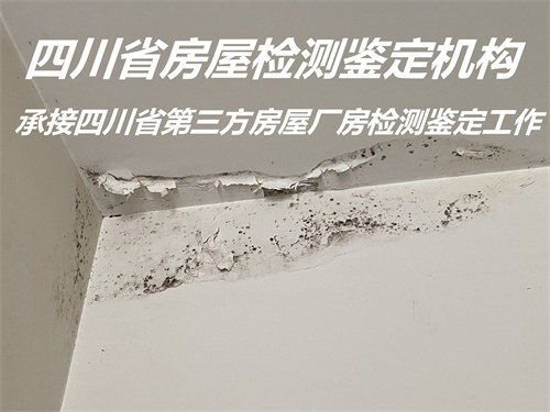 广元市受损房屋安全检测鉴定公司