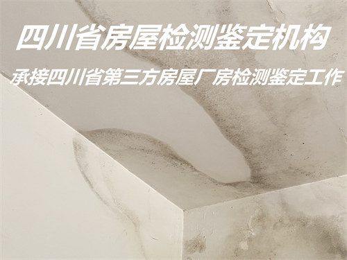 广元市钢结构安全质量鉴定报告办理机构