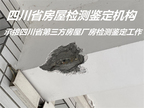 四川省厂房安全检测评估中心