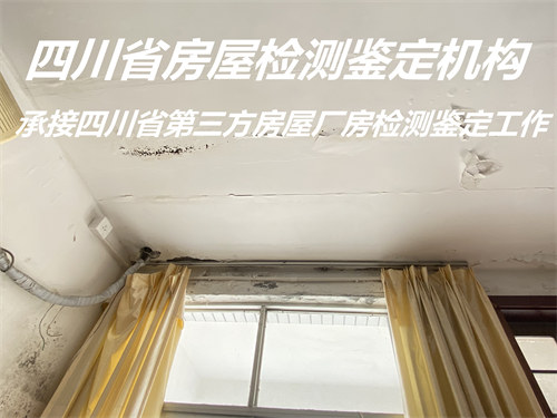 广元市屋顶光伏安全检测鉴定办理机构