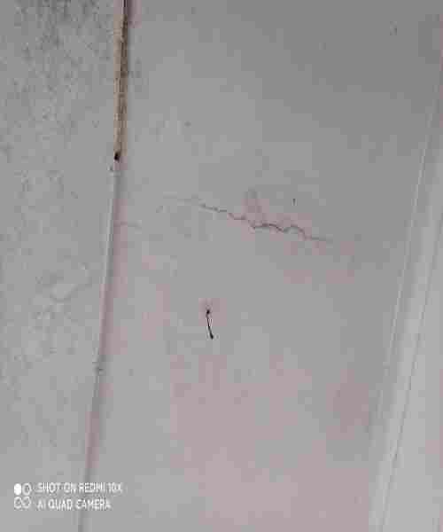 瑞丽市危房等级检测鉴定收费标准