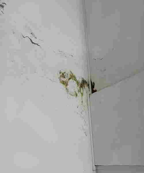 瑞丽市危房等级检测鉴定认可机构