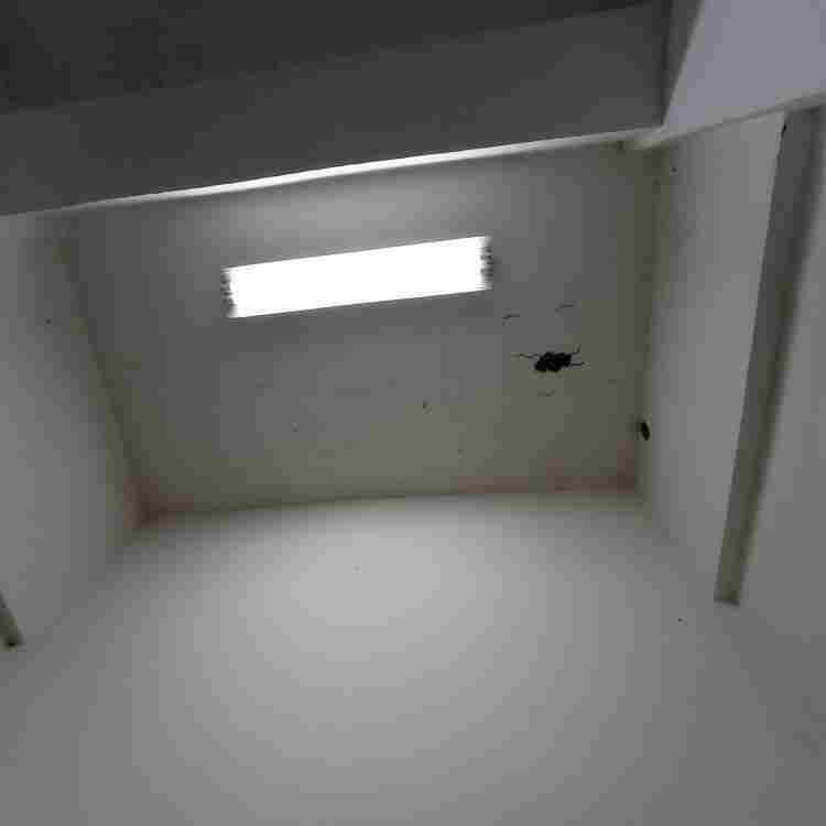 剑川县城镇老旧危房改造检测中心