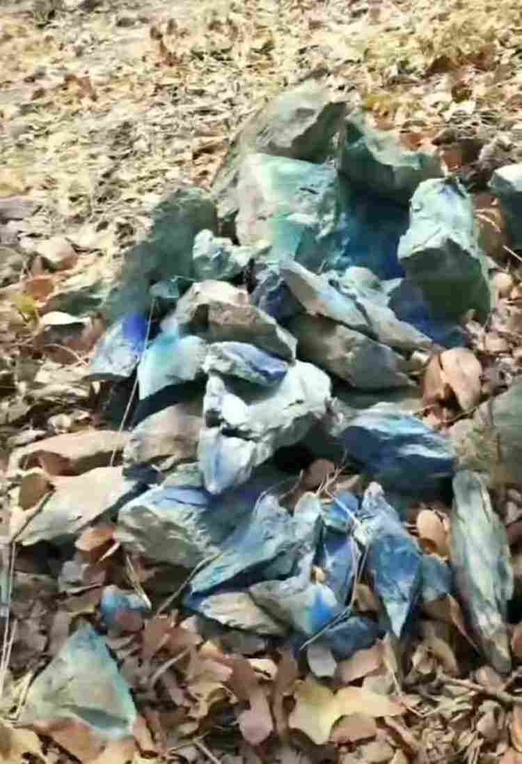 艾克I-CHEQ全系列矿石分析仪