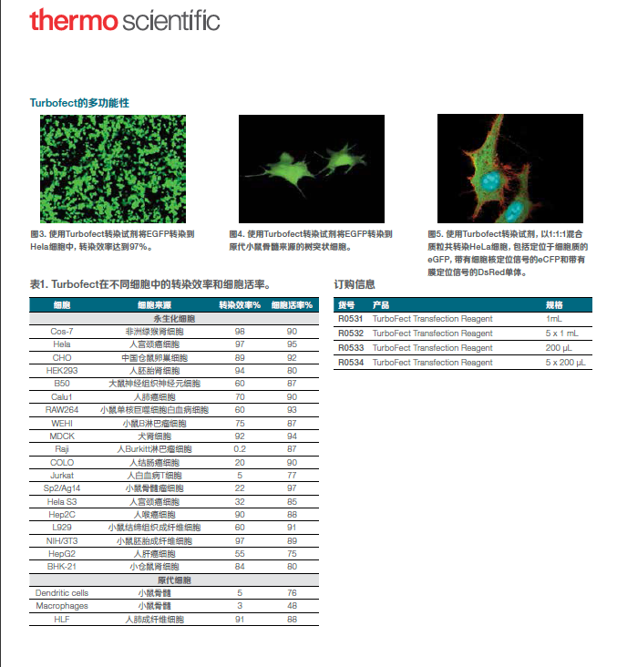 Thermo Scientific TurboFect 转染试剂 - 高效质粒转染的解决方案