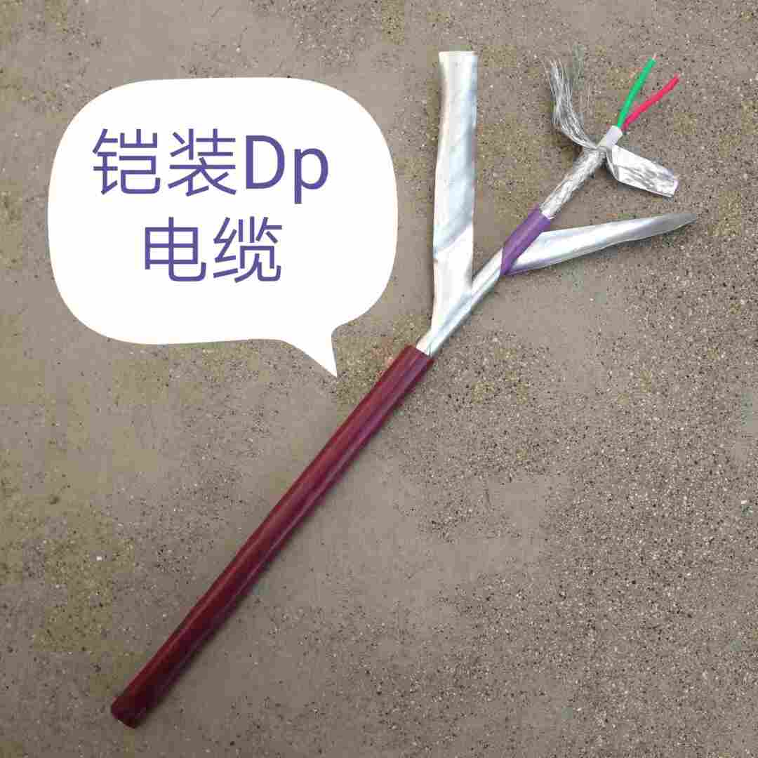 铠装DP电缆PROFIBUS 6XV1830-0EH10