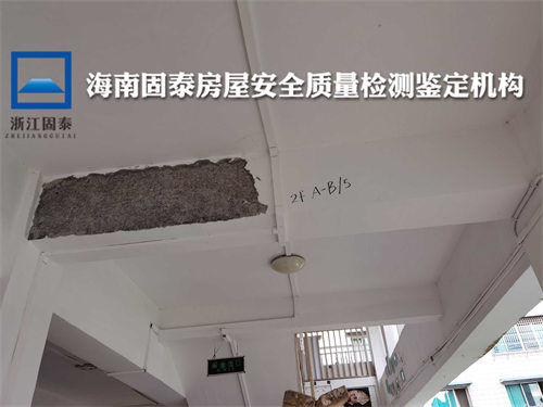 海南屯昌县厂房安全性检测评估中心-/2022已更新