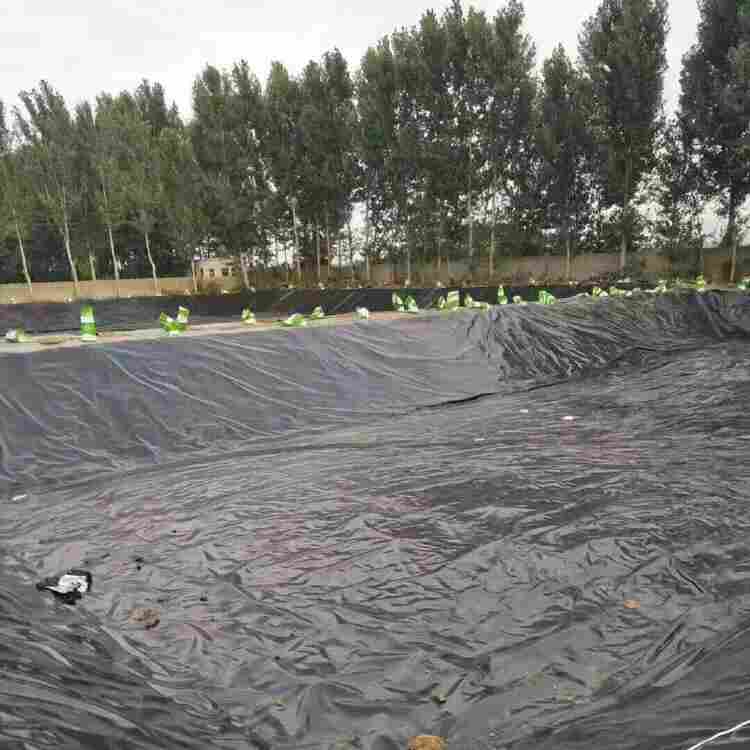 宿州藕池防渗膜-全境派送直达2022价格已更新