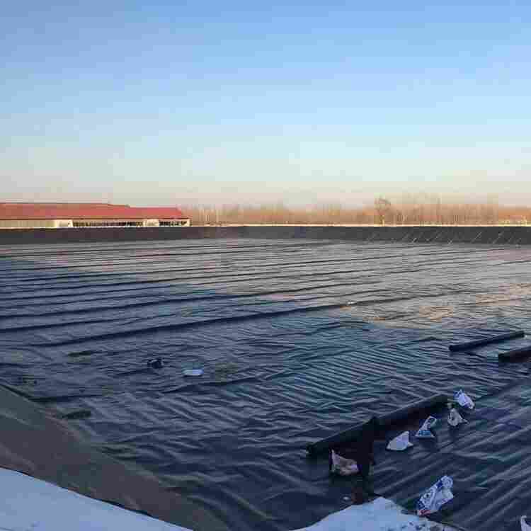 广州土工膜-全境派送直达2022价格已更新