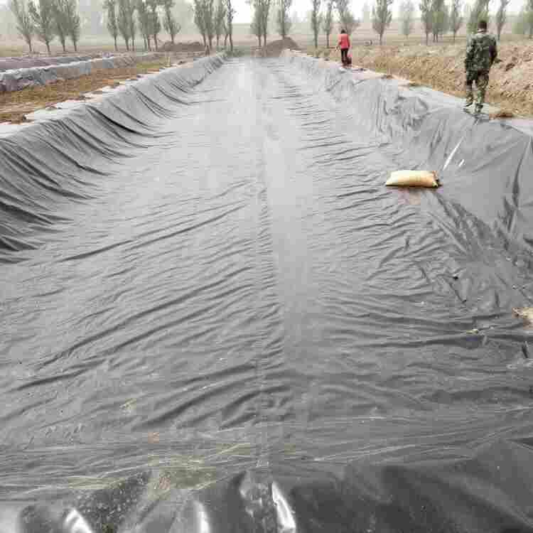 陕西土工膜-全境派送直达2022价格已更新