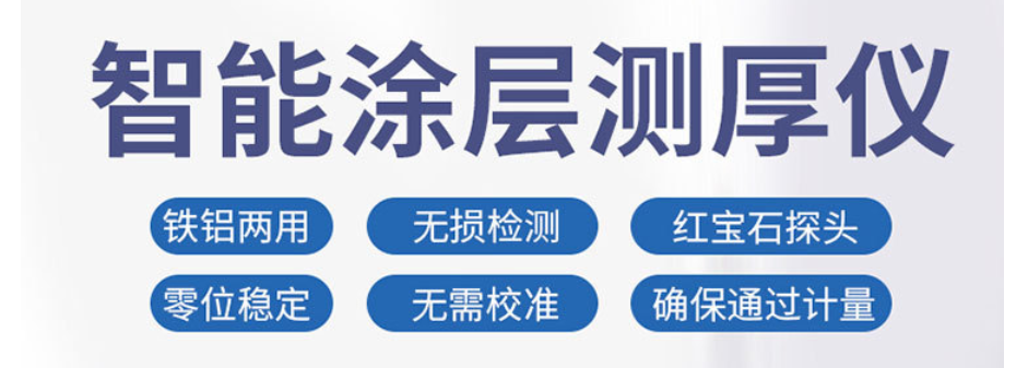 LS223H涂层测厚仪