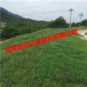 欢迎来访-铜川市稻草草毯-实业集团 欢迎来访-铜川市稻草草毯-实业集团