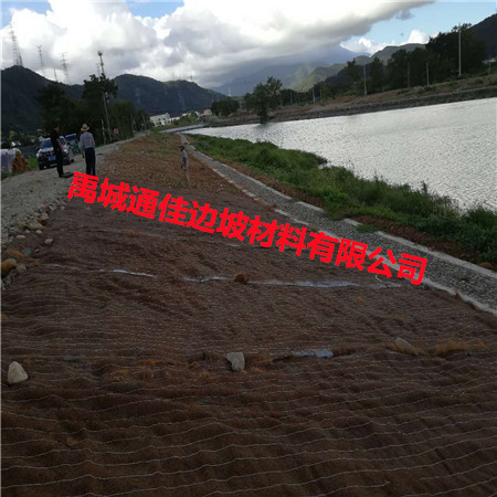 欢迎访问-广州植生毯河堤护坡-通佳实业集团