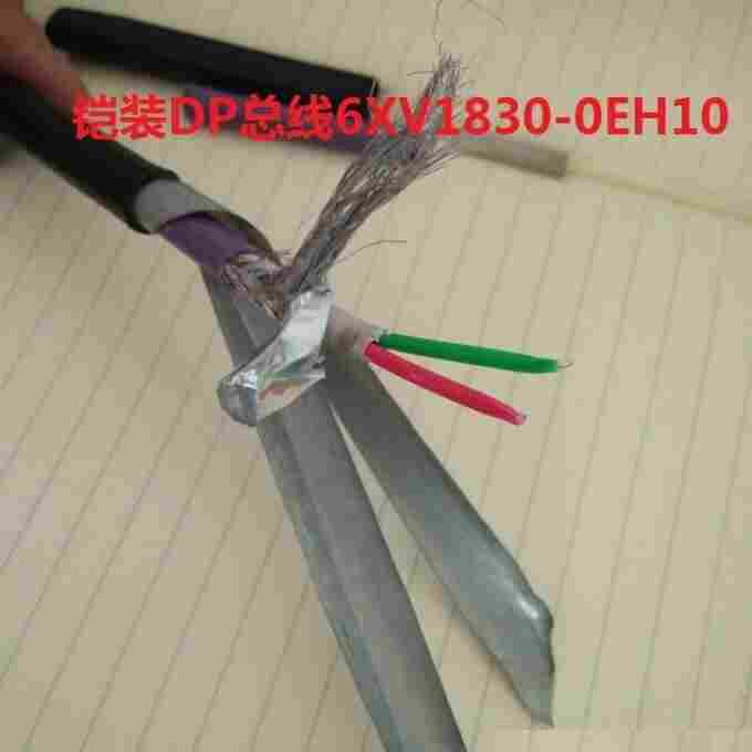 DP铠装电缆6XV1830-0EH10-PROFIBUS DP总线