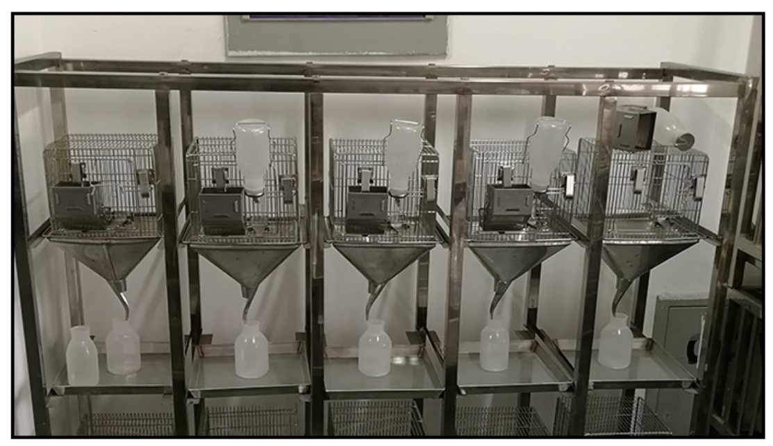 实验室 大小鼠代谢笼 带集尿瓶 屎尿分离不锈钢笼