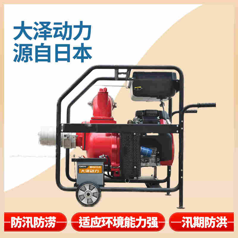 1656982565572978.jpg 大泽动力2寸柴油水泵