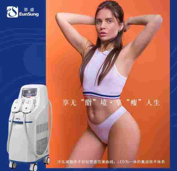 韩国进口EunSung冷冻减肥减脂美容仪器