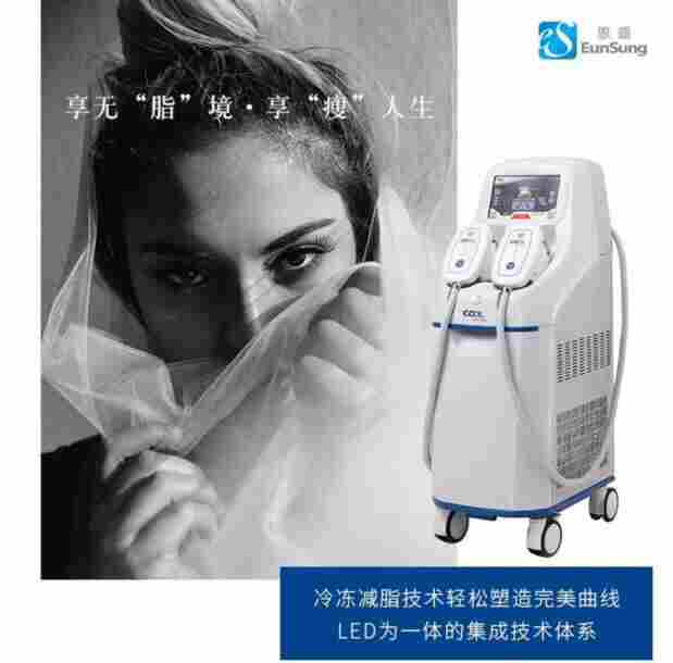 韩国进口EunSung冷冻减肥减脂美容仪器