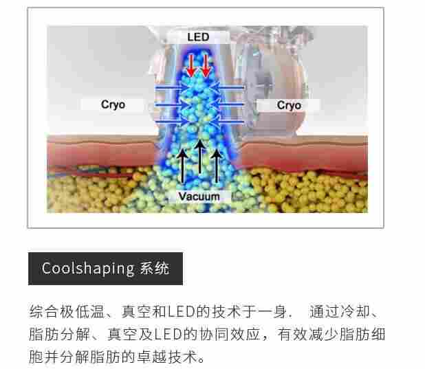 韩国进口EunSung冷冻减肥减脂美容仪器