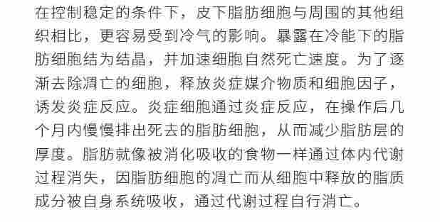 韩国进口EunSung冷冻减肥减脂美容仪器