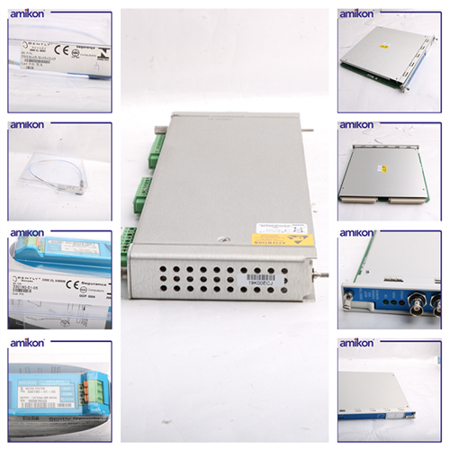 卡件本特利 330196-05-30-10-CN