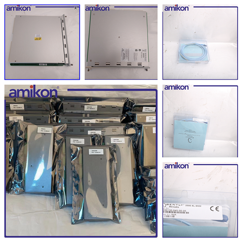 卡件本特利 330196-05-30-10-CN