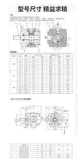 万州区CP0-16-P-10R 台湾HYTEK齿轮泵现货-2022已更新